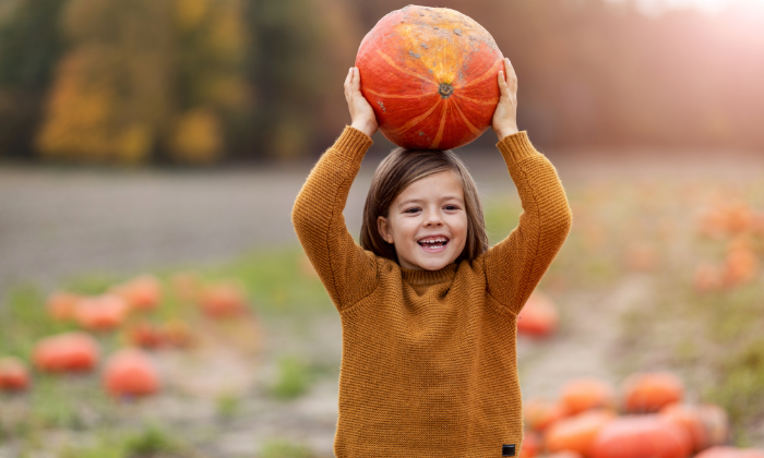 © pikselstock/AdobeStock